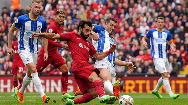 Lịch sử đối đầu, nhận định Liverpool vs Brighton, 20h30 ngày 29/01, Cúp FA