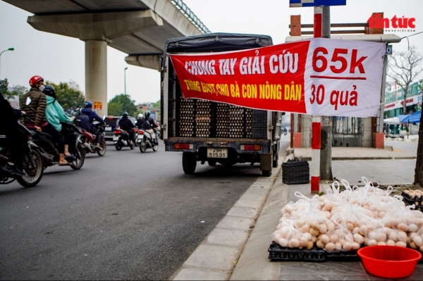 Cần làm rõ nguồn gốc những quả "trứng gà, vịt giải cứu" ở Hà Nội