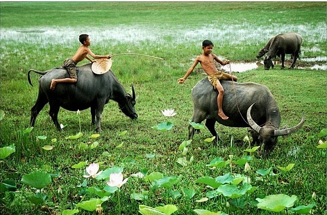 Tử vi 12 con giáp ngày 29/5/2022